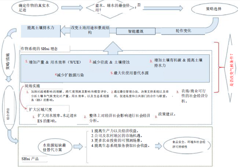 提高用水效率的策略