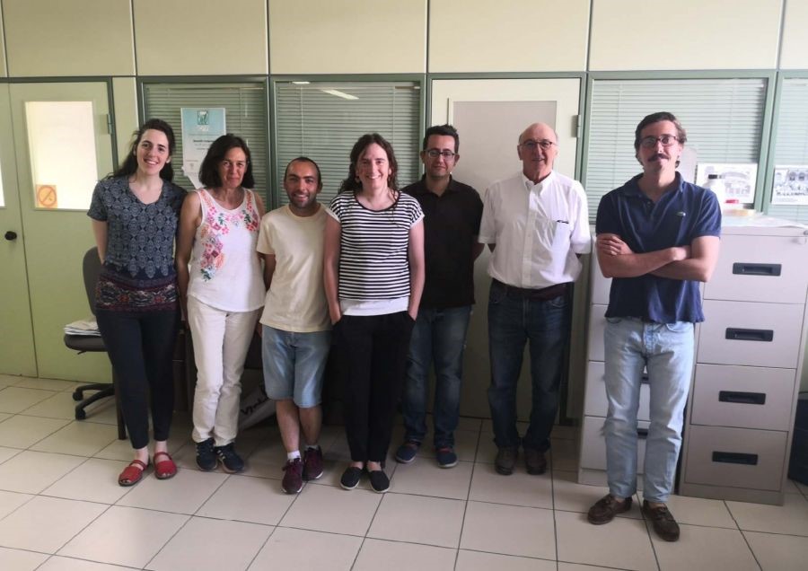 SHui in Spanish Local, National and Specialised News