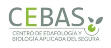 Bio-fertilizers issued from anaerobic digestion for growing tomatoes under irrigation by treated wastewater: targeting circular economy concept