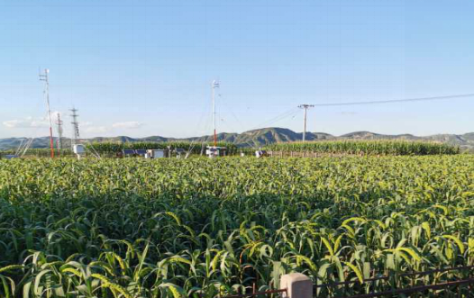 NWAFU – Yangling News July 2020